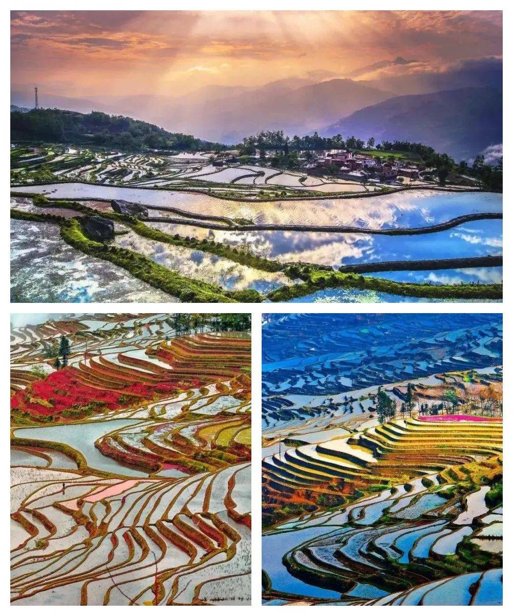 临沧上门女婿攻略：探秘边陲小城的独特婚俗与旅行体验