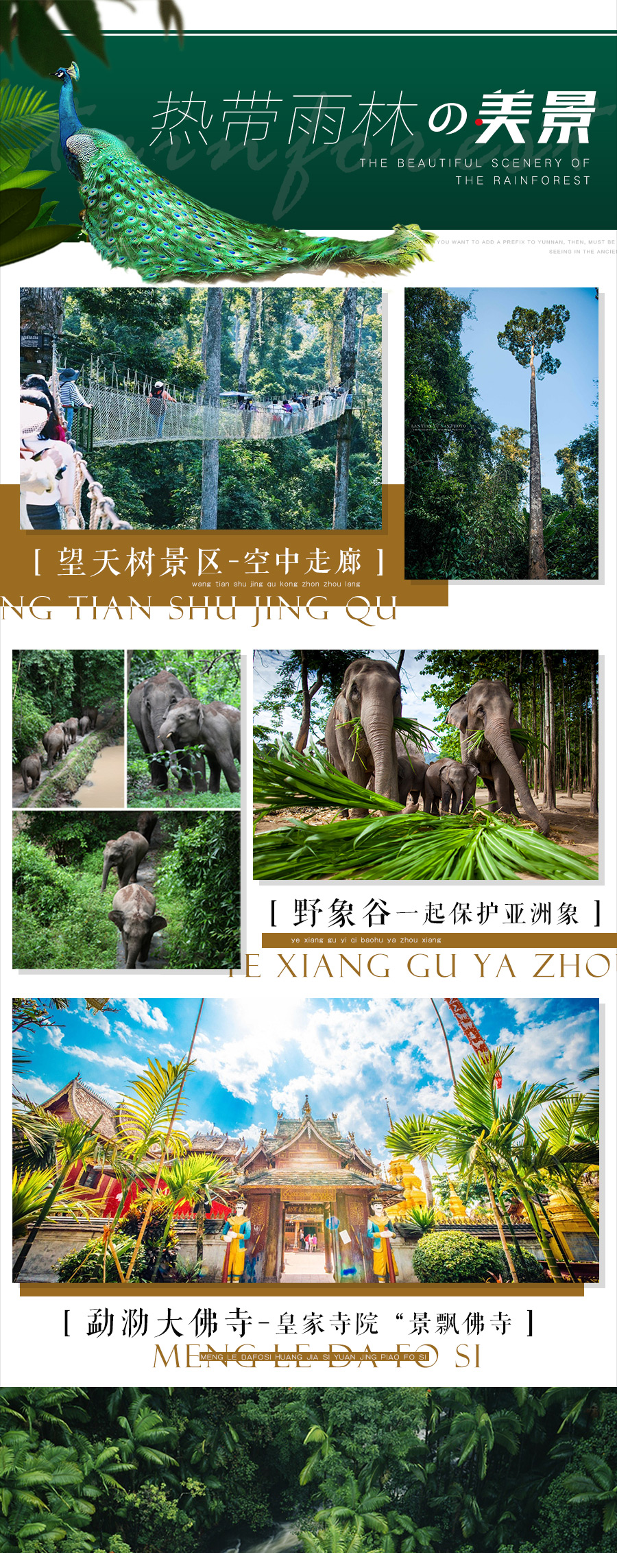 2026年云南旅游健康码政策更新 游客需知