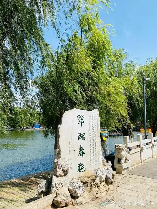 普洱景迈山古茶林：千年茶香中的秘境徒步，春日采茶正当时